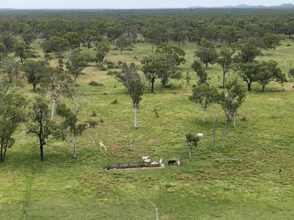Cape River, Pentland