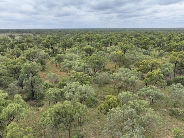 Cape River, Pentland
