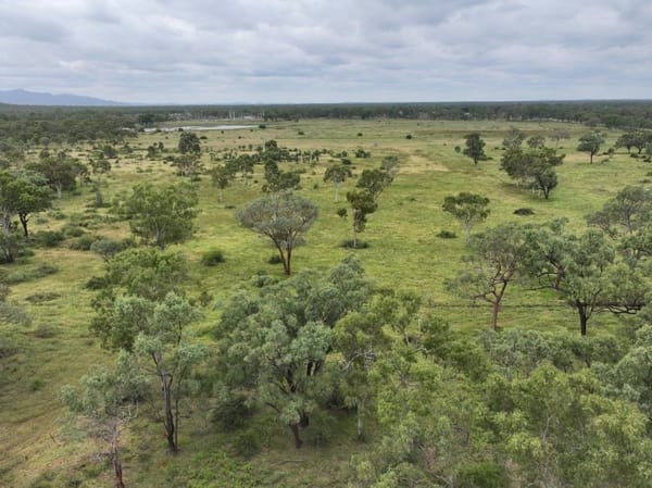 Cape River, Pentland