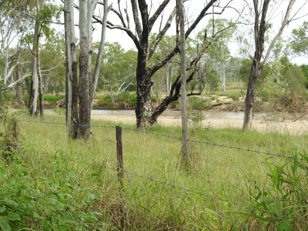 Cape River, Pentland
