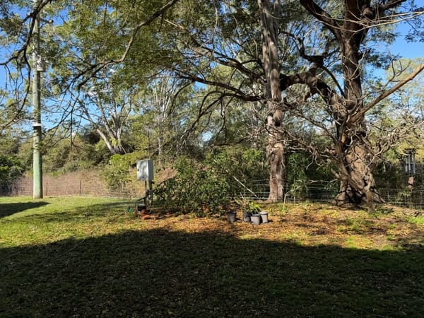 244 Jones Road, Woodstock