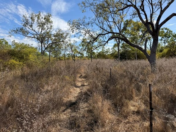 244 Jones Road, Woodstock