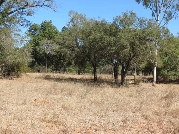 37963 Gregory Development Road, Breddan