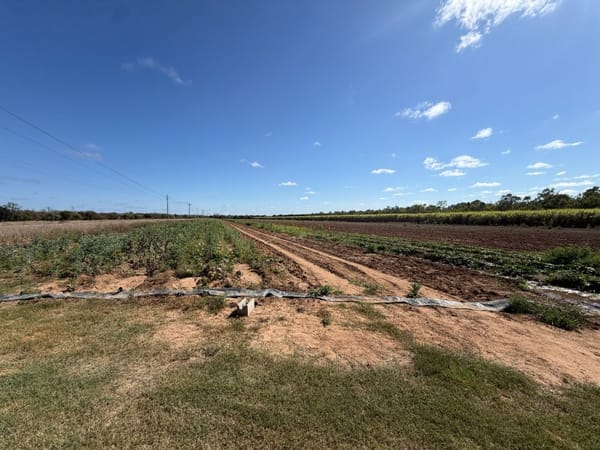 8297 Ayr-Dalbeg Road, Dalbeg