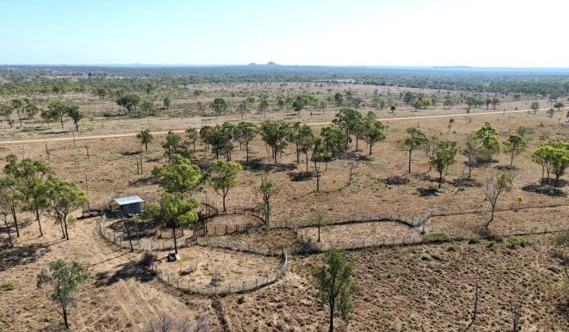 Bumbleginny, Charters Towers