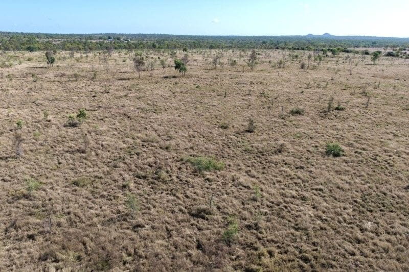 Bumbleginny, Charters Towers