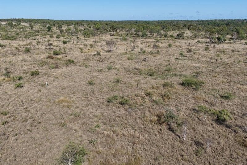 Bumbleginny, Charters Towers