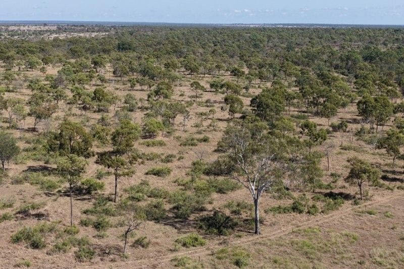 Bumbleginny, Charters Towers