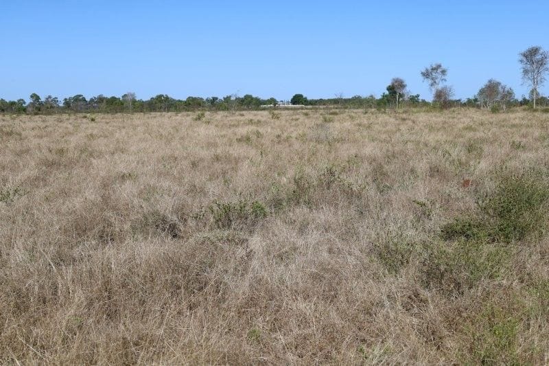 Bumbleginny, Charters Towers