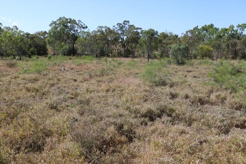 Bumbleginny, Charters Towers