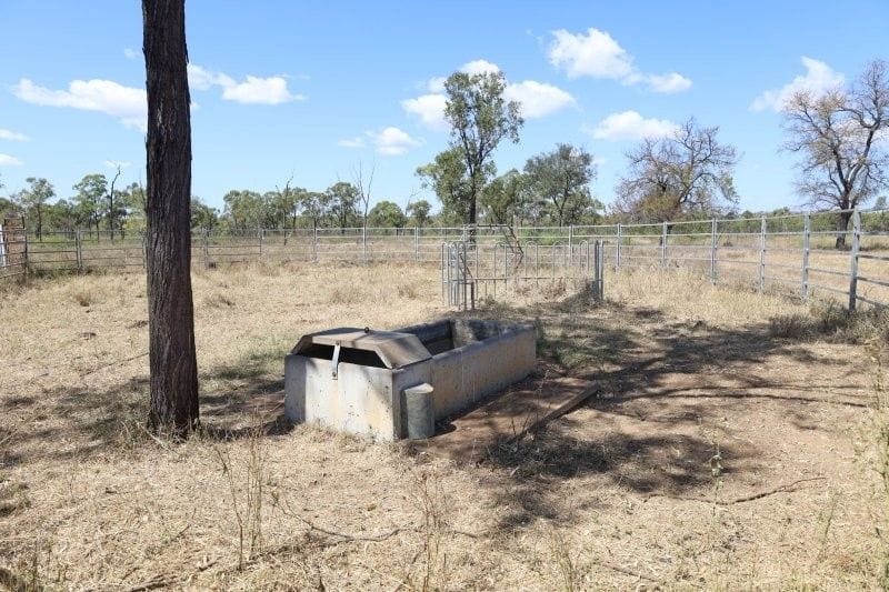 Bumbleginny, Charters Towers