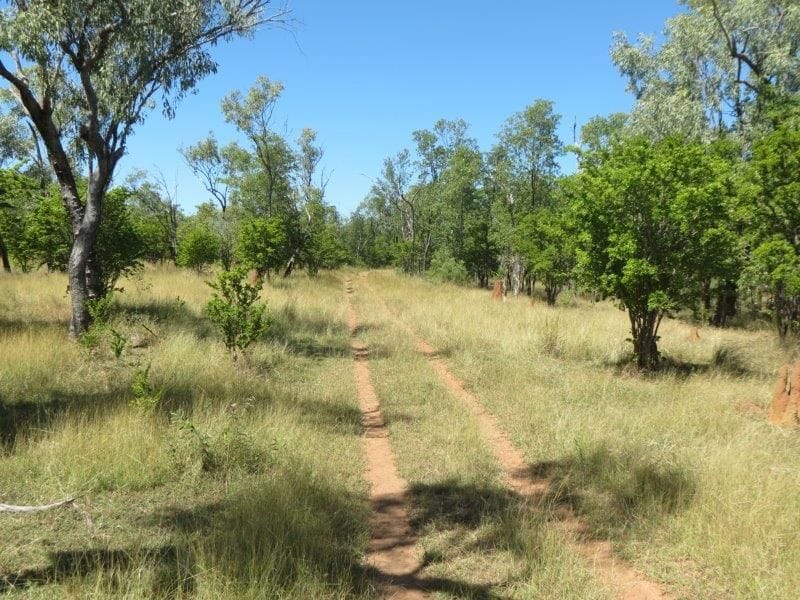 Vanlee Station, Mount Surprise