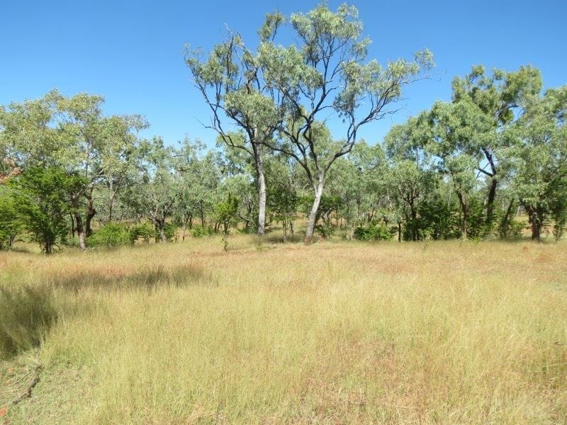 Vanlee Station, Mount Surprise