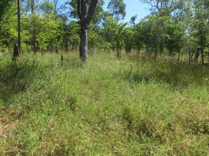 Vanlee Station, Mount Surprise