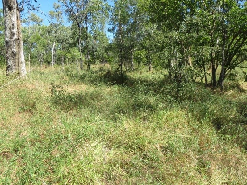 Vanlee Station, Mount Surprise