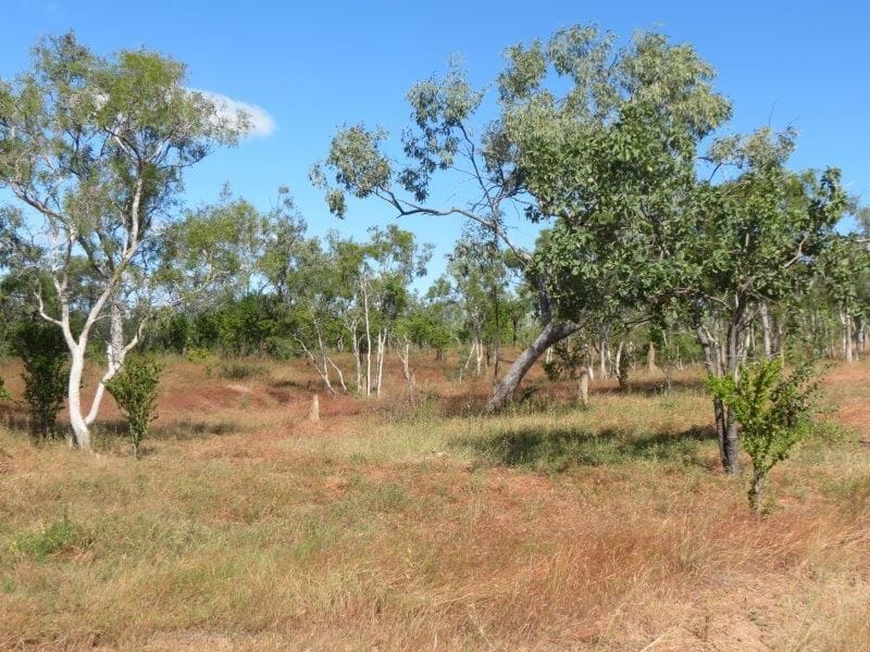 Vanlee Station, Mount Surprise