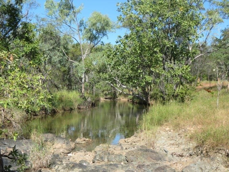 Vanlee Station, Mount Surprise