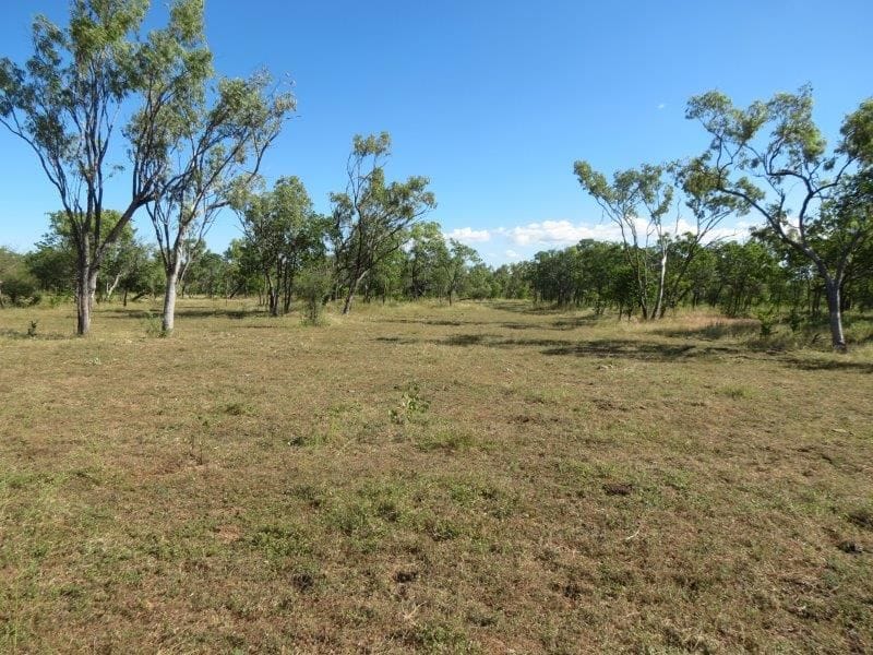 Vanlee Station, Mount Surprise