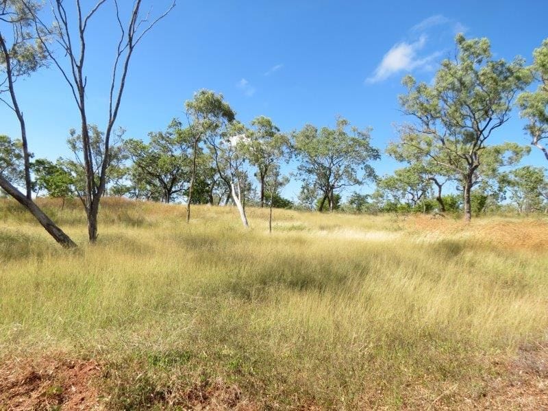 Vanlee Station, Mount Surprise
