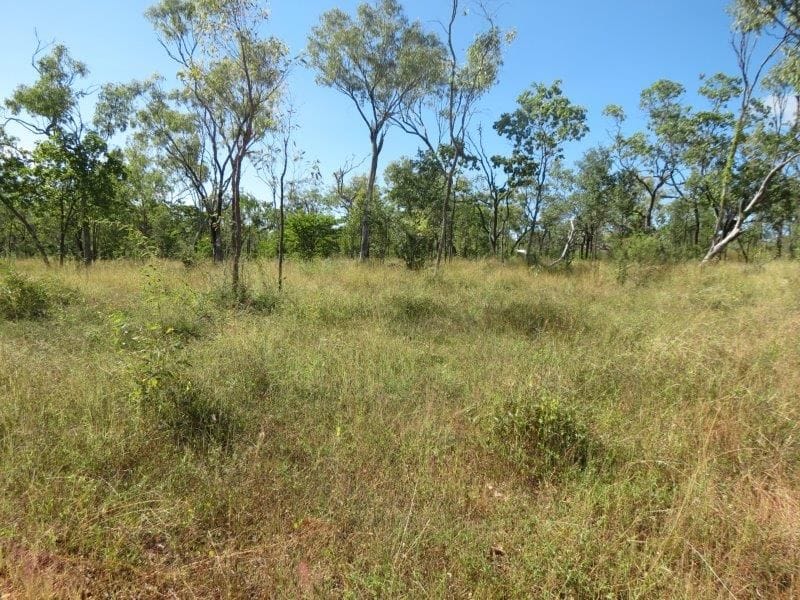 Vanlee Station, Mount Surprise