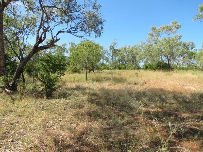 Vanlee Station, Mount Surprise