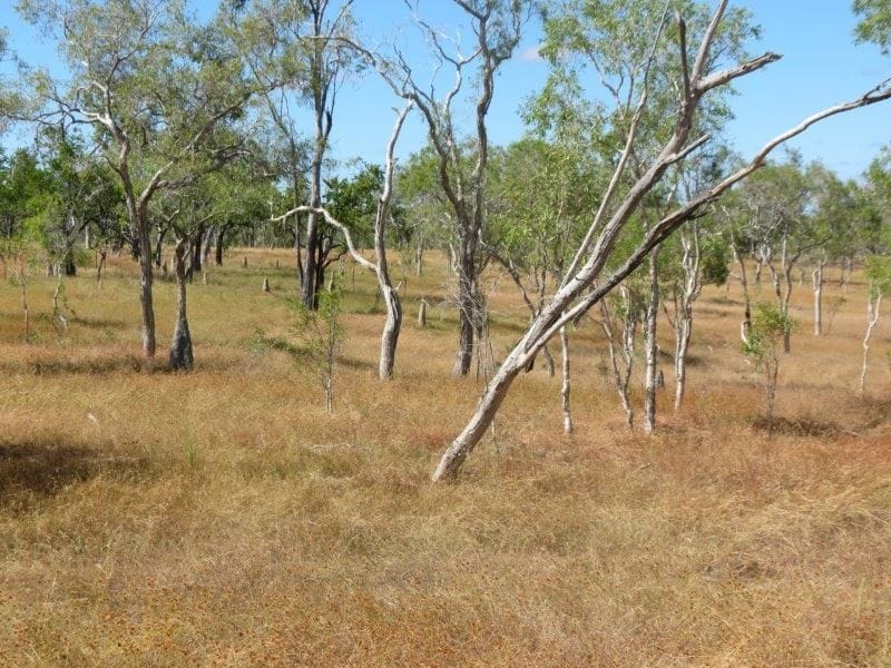 Vanlee Station, Mount Surprise