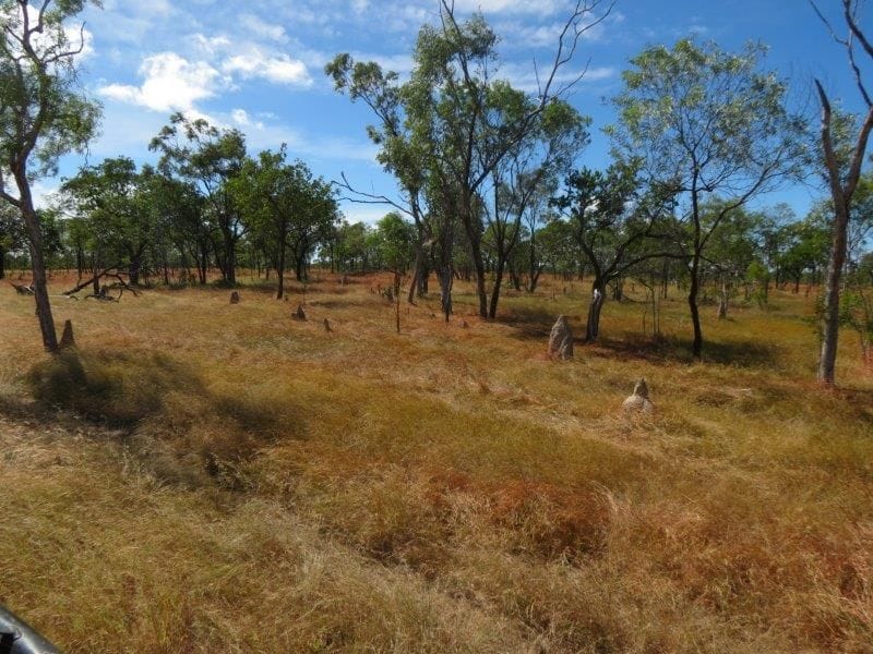Vanlee Station, Mount Surprise