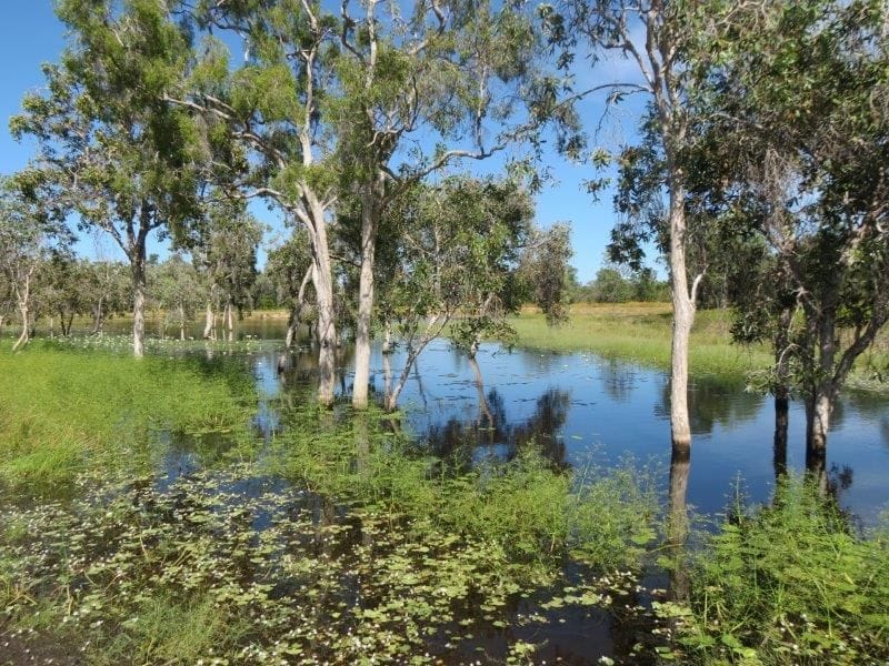 Vanlee Station, Mount Surprise