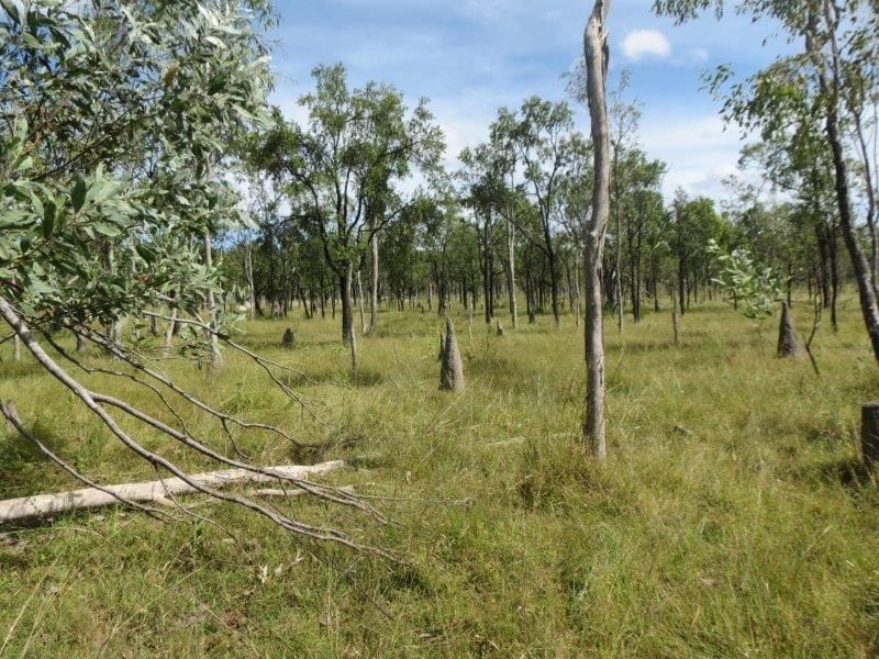 Vanlee Station, Mount Surprise