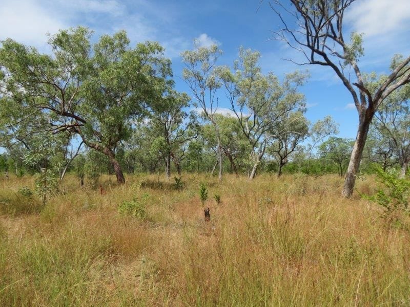Vanlee Station, Mount Surprise