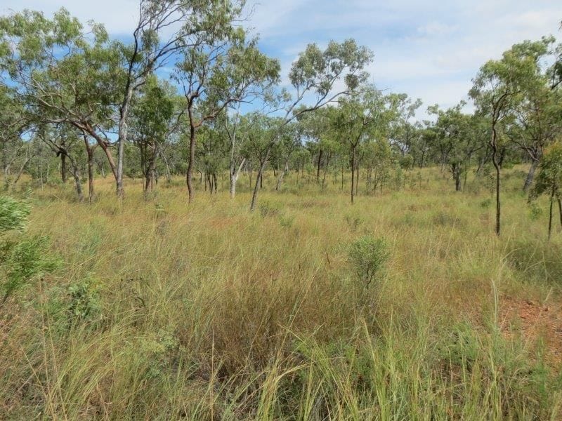 Vanlee Station, Mount Surprise