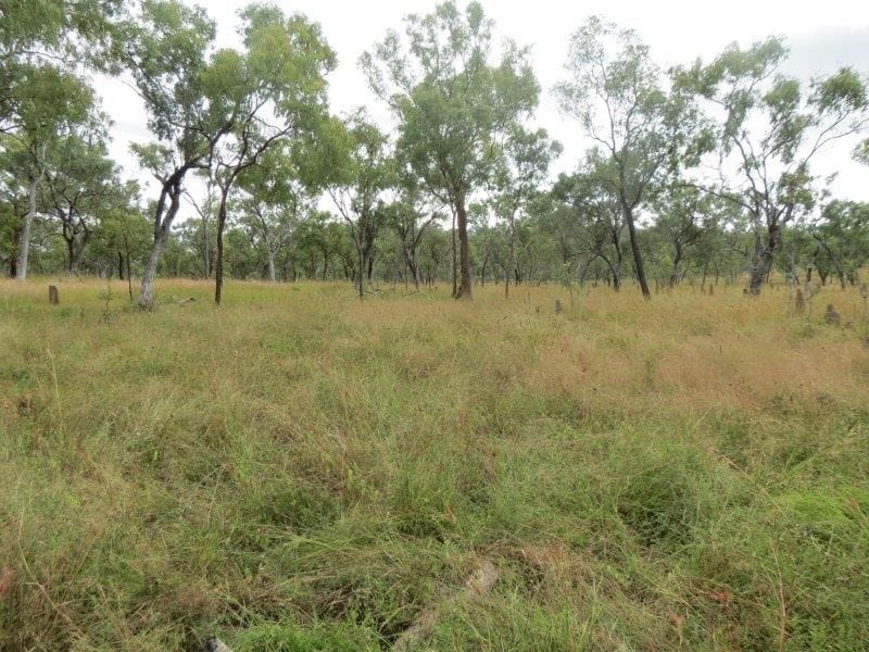 Vanlee Station, Mount Surprise