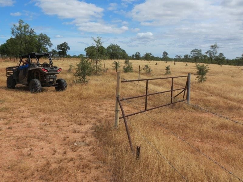 Vanlee Station, Mount Surprise