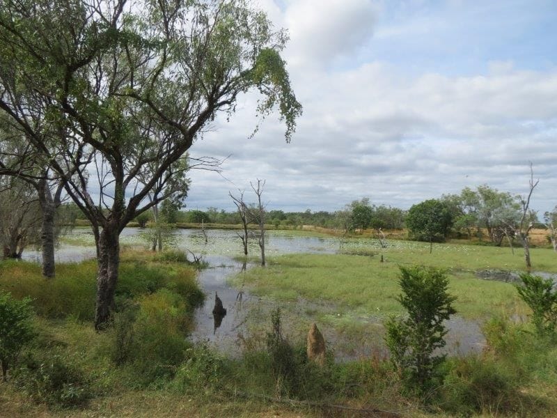Vanlee Station, Mount Surprise