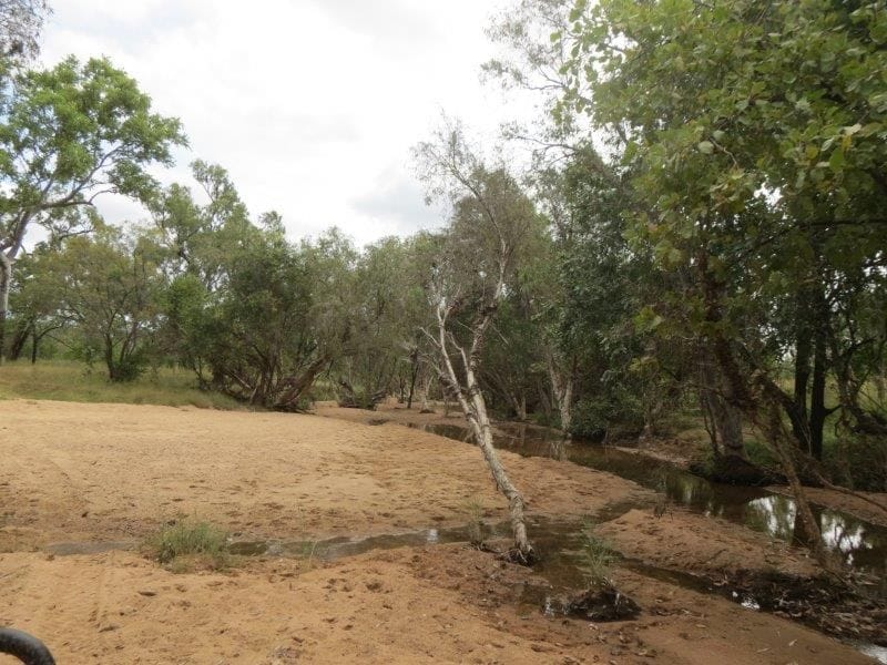 Vanlee Station, Mount Surprise