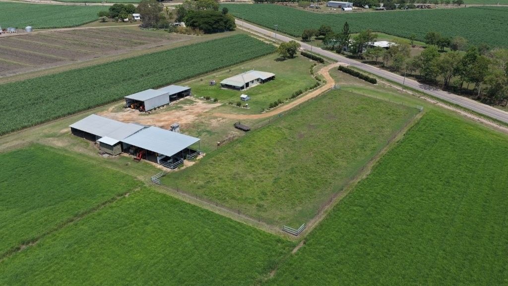 Haughton Hay Farm, Giru