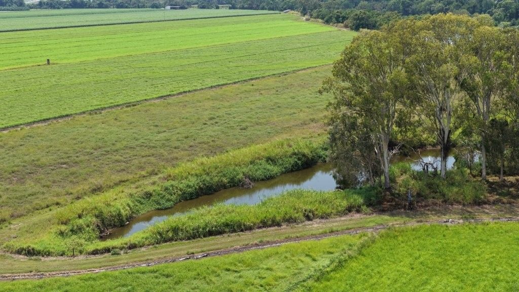 Haughton Hay Farm, Giru
