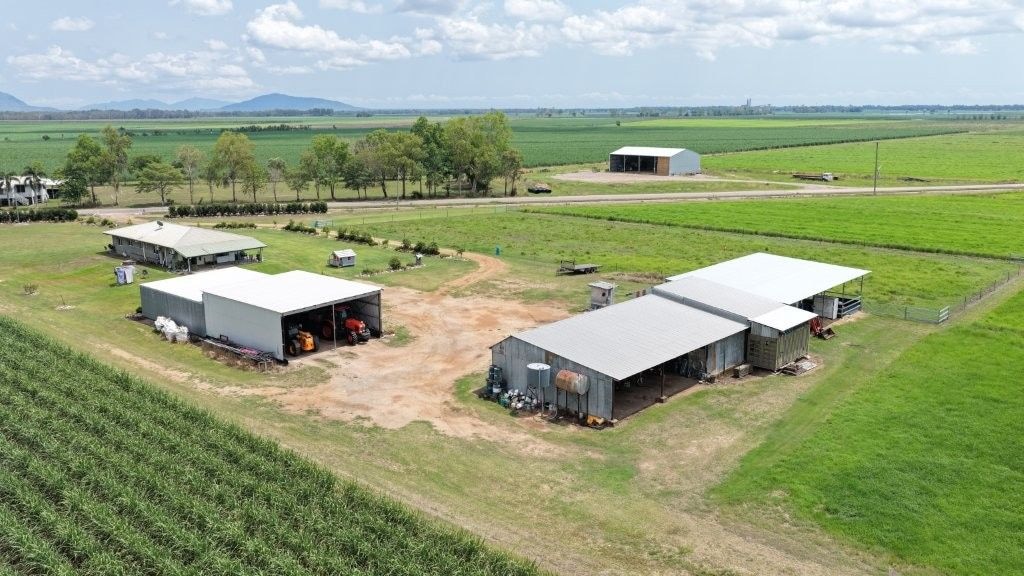 Haughton Hay Farm, Giru