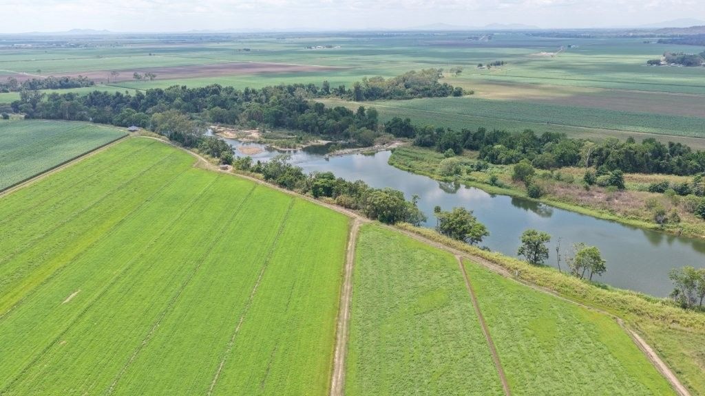 Haughton Hay Farm, Giru