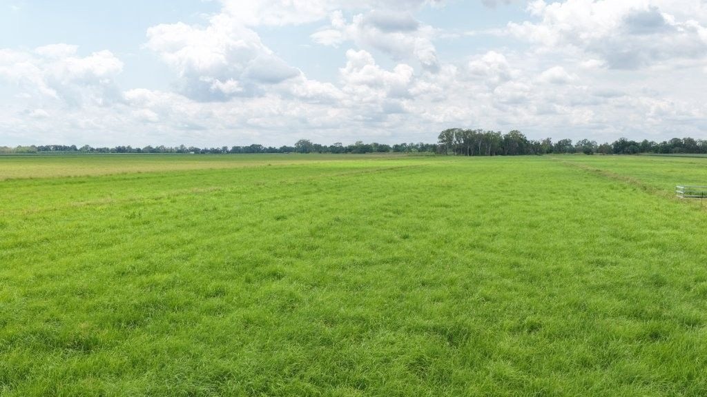 Haughton Hay Farm, Giru