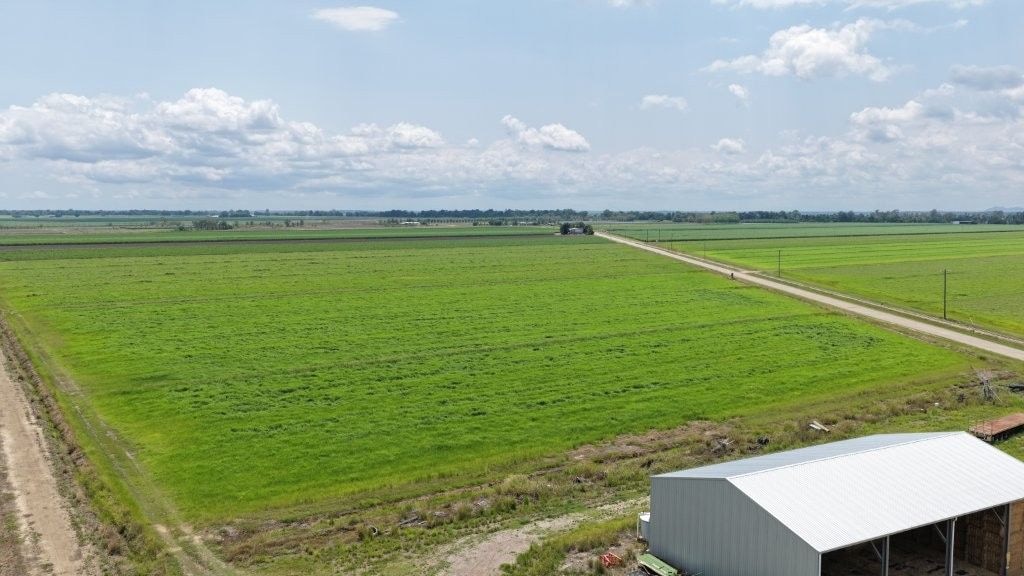 Haughton Hay Farm, Giru