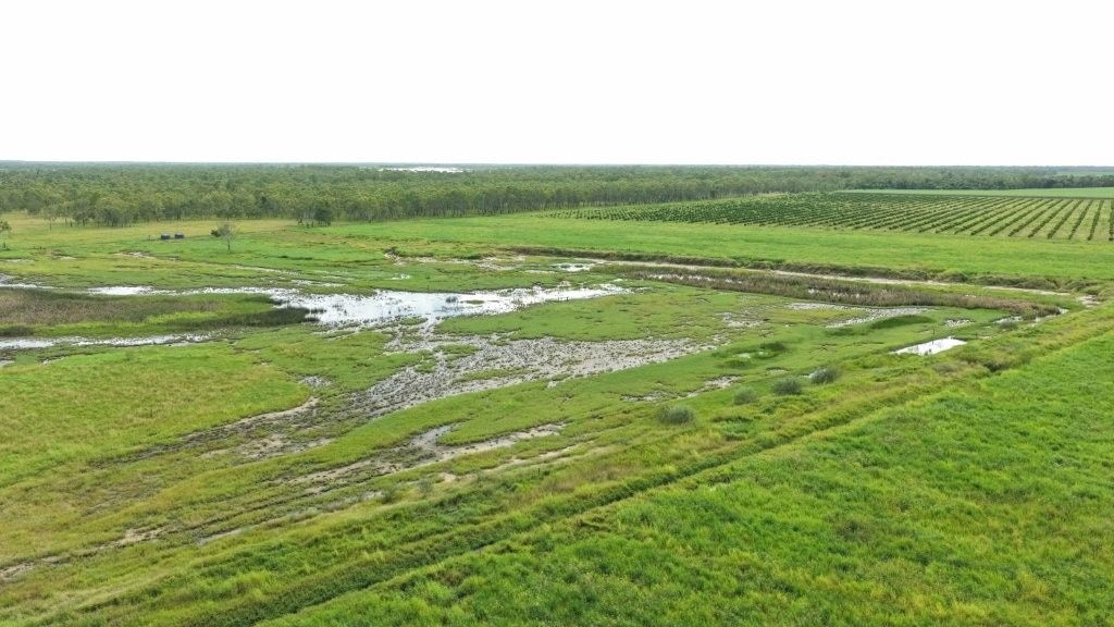 Farming property, Giru
