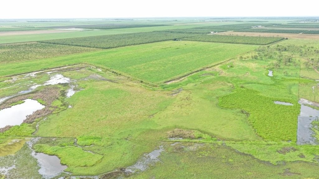 Farming property, Giru
