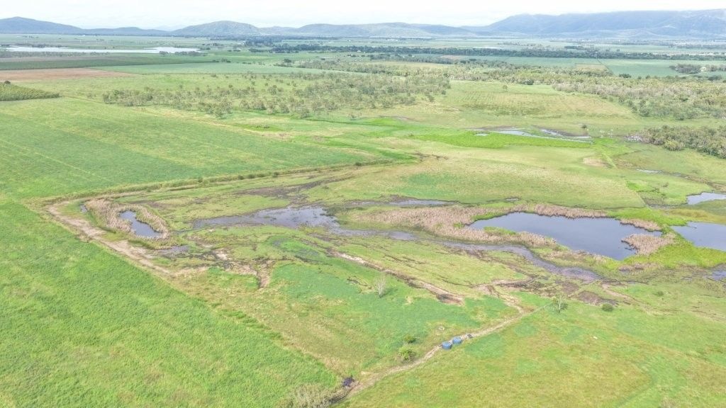 Farming property, Giru