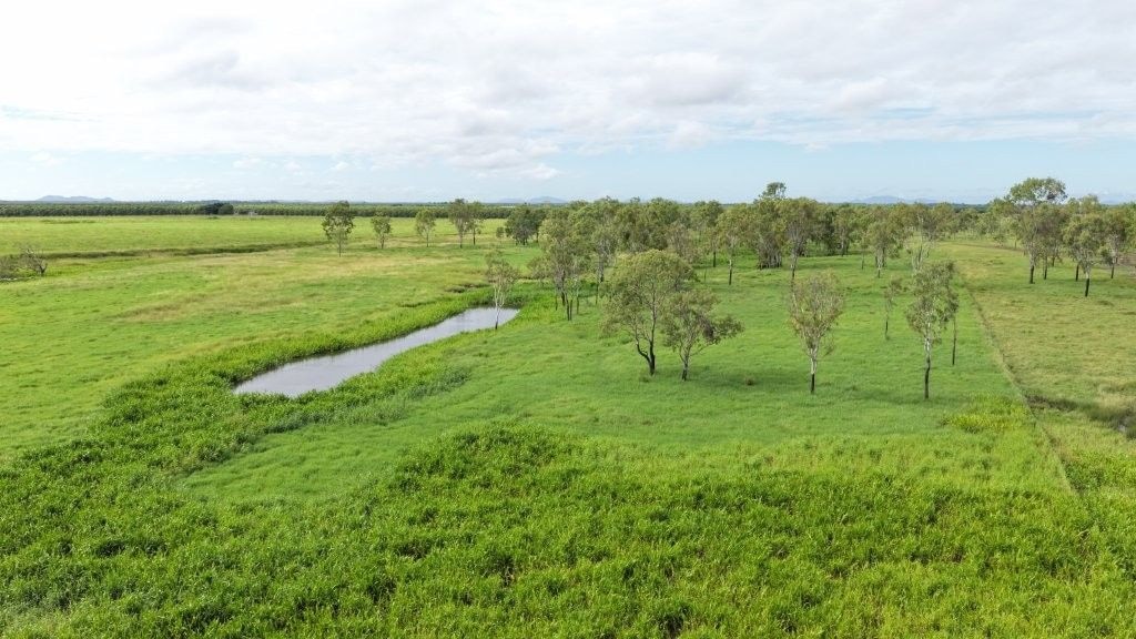 Farming property, Giru