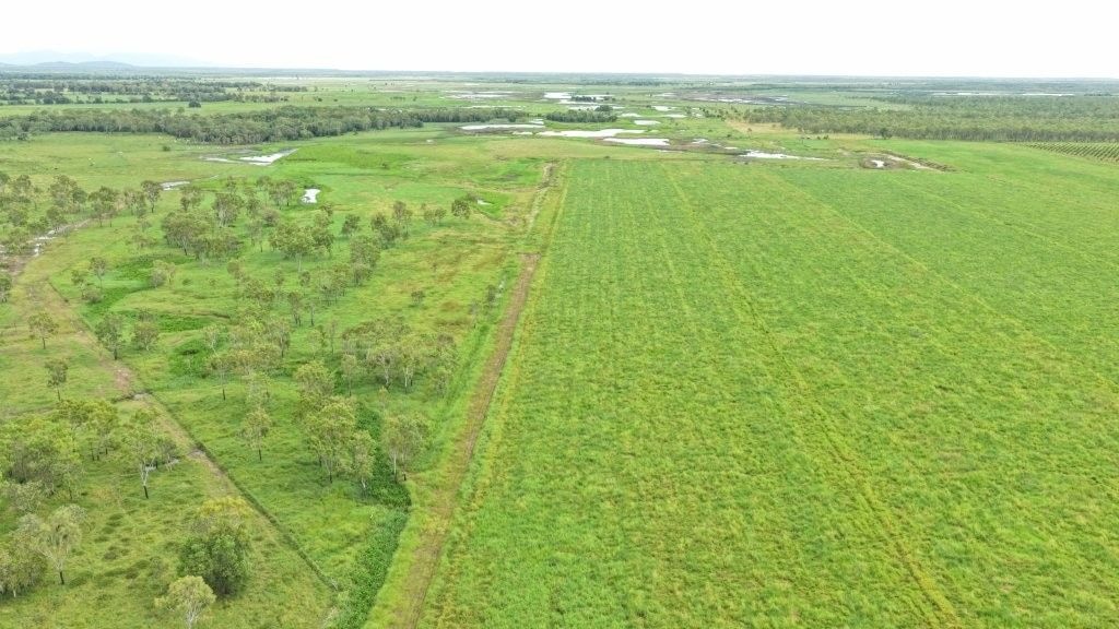Farming property, Giru