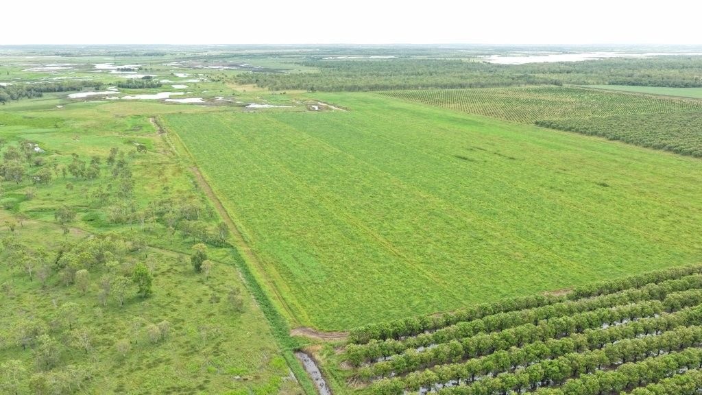 Farming property, Giru