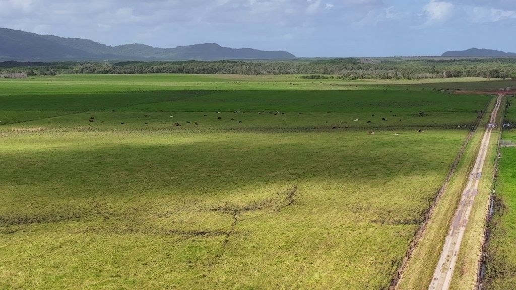 Lower Daintree Aggregation, via Mossman Nth Qld