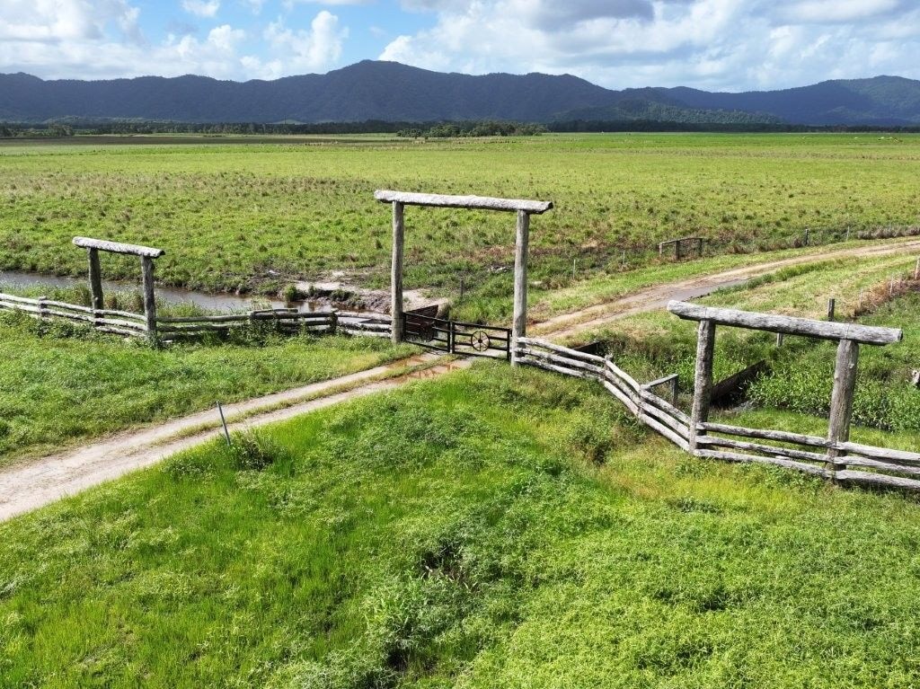 Lower Daintree Aggregation, via Mossman Nth Qld