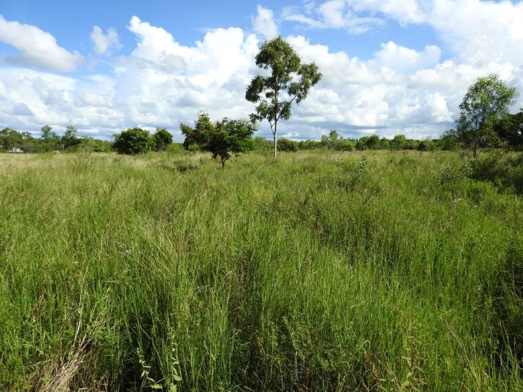 Lot 1, Read Road Toll